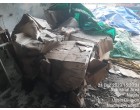 Damaged Pulp – Approx. 557 MT Nagda MP