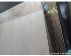 Greenply Wood Crrests – 718 Pcs at New Delhi