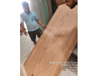 Greenply _ Ecotec Ply - 710 Pcs at Ghaziabad UP