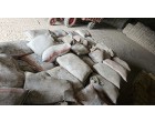 Dalmia Cement- 3893 Bags at Begusarai Bihar