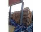Flood affected Paddy” Qty-600 MT approx