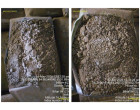 Dalmia Cement - 8702 Bags at Siwan BH