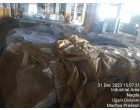 Damaged Pulp – Approx. 557 MT Nagda MP