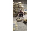 Dalmia Cement - 3997 Bags at Biharsharif, Bih