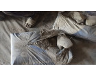 Dalmia Cement- 3350 Bags (167.5 MT) at Satna MP