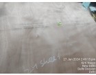 Greenply Wood Crrests – 718 Pcs at New Delhi