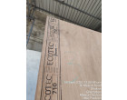 Greenply _ Ecotec Ply - 710 Pcs at Ghaziabad UP