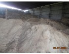 Rice Bran - 350 MT AT Kurukshetra