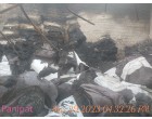 Fire damaged blankets/cloths VK International