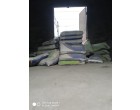 Dalmia Cement -2995 Bags AT COSSIMBAZAR