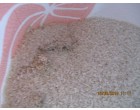Raw Rice (Beras Bulog)