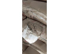 Prism Cement - 3852 Bags at Mohania BH