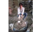 Dalmia Cement-Half Stone/Cobble & Pebbles -1990 Bags