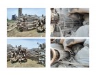 Cages (SS 316 L) - 137.088 MT (9792 Pcs)