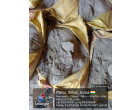 Dalmia Cement- 4951 Bags at Arrah BH