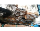 Polyester Metalized Film, Qty- 8225.890 Kgs