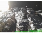 Fire affected Cotton Bales - 12 MT