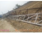 Plant & Structure - VK International