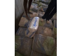 Dalmia Cement - 4900 Bags (245 MT) at Sultanpur UP