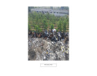 Glory Food Building Scrap _ Approx. 25 MT