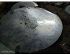 Salvage of SS Circle Sheet & Bowl - 14.31 MT lying at Silvassa , Daman & Diu