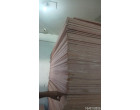 Damaged Greenply Board - 500 Pcs at Ananthnag, J&K