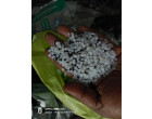 Water Damaged HDPE, PVC, XLPE Chips-30750 kg. at Howrah , Kolktata