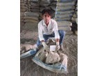 Dalmia Cement- Full Stone/ Boulder-4000 Bags