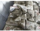 J K Cement - 29350 Bags at Mandideep Bhopal