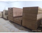 GREEN PLY - 592 Pcs  at Mohali Punjab