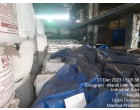 Damaged Pulp – Approx. 557 MT Nagda MP