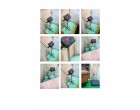 Damaged Steering Column Parts (as per list)