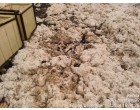 Fire/Water Damaged 6 Grade Raw Ginned Cotton