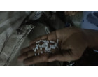 Water Damaged HDPE, PVC, XLPE Chips-30750 kg. at Howrah , Kolktata