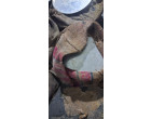Salvage of SS Circle Sheet & Bowl - 14.31 MT lying at Silvassa , Daman & Diu