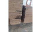 GREEN PLY - 592 Pcs  at Mohali Punjab