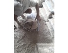 Dalmia Cement - 3199 Bgas at Begusarai 