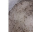 Sugar- 27.9 MT approx in Kolkata