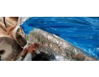 Rainwater damaged Met CPP Films Roll