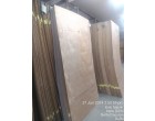 Greenply Wood Crrests – 718 Pcs at New Delhi