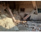 Cotton Seed & Hulls (Mundada)
