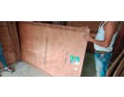 Greenply Board - 520 Pcs at Thane MH