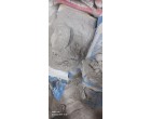 Dalmia Cement_ 5961 Bags_at Purnea BH