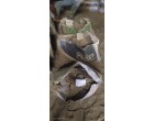 Dalmia Cement–3495 Bags at Siwan-Bihar