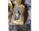 Dalmia Cement- 4951 Bags at Arrah BH
