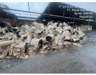 Fire/Water affected Kraft Paper & Waste paper Approx. 450 MT lying at Alwar RJ