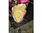 Water effected Basmati rice - 26.010 MT at North 24-Parganas W.B
