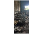 Fire damaged Stock Items, Plant & Machinery, FFF & Office Equipment, And Shoe Lasts at Agra UP