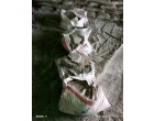 Dalmia Cement -3982 Bags at Samastipur BH