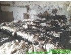 Fire affected Cotton Bales - 12 MT